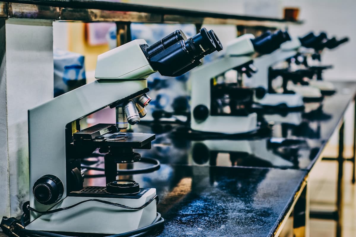 Researchers working in a modern laboratory
